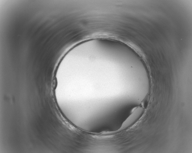 X0000052941296200508050846