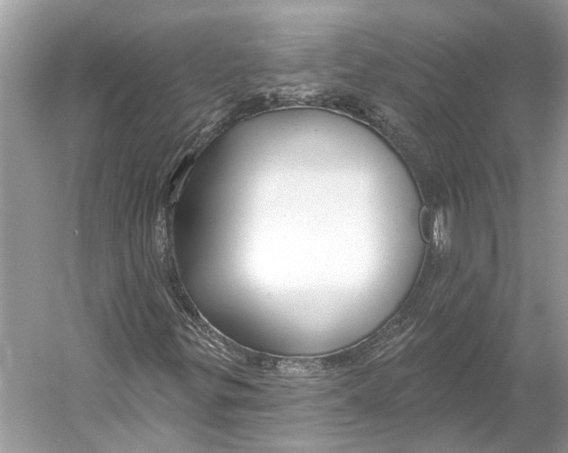 X0000052941299200508050845