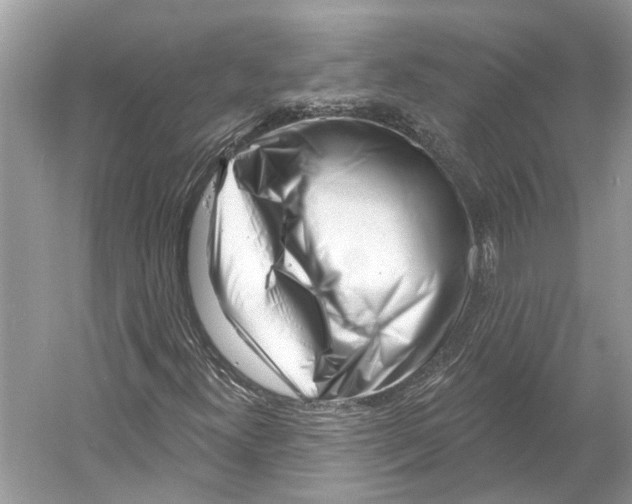 X0000052941300200508050845