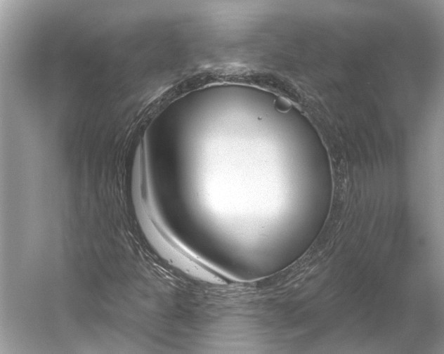 X0000052941301200508050845