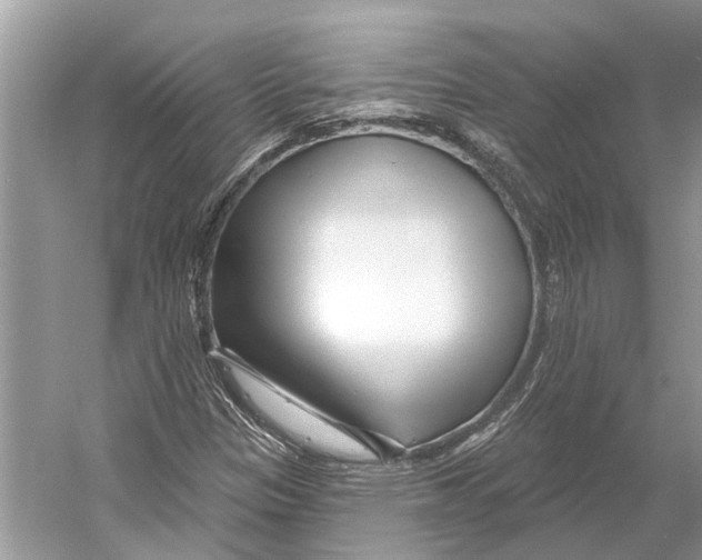 X0000052941305200508050845