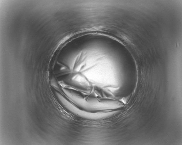 X0000052941308200508050845