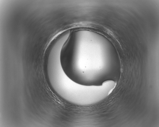 X0000052941312200508050845