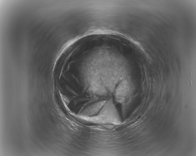 X0000052941319200508050845