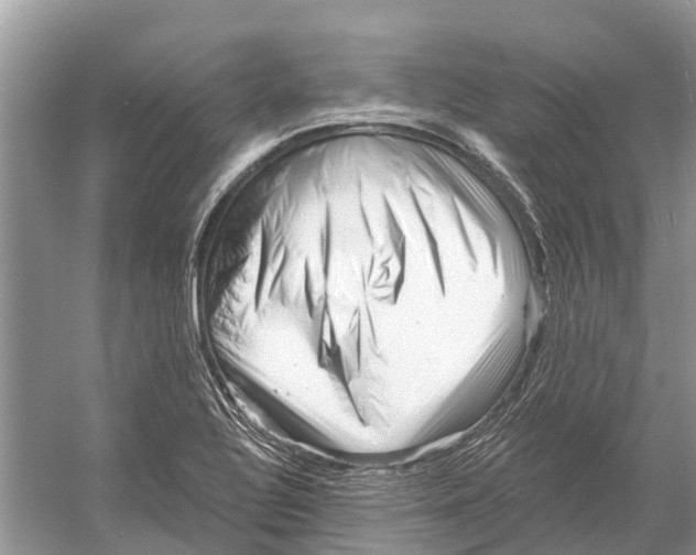 X0000052941320200508050845