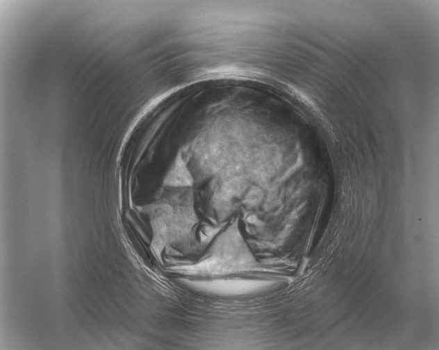 X0000052941323200508050845