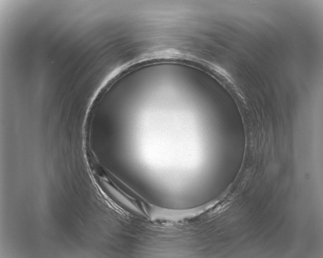 X0000052941326200508050845