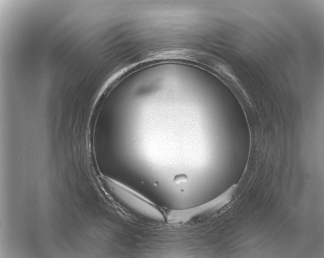 X0000052941328200508050845