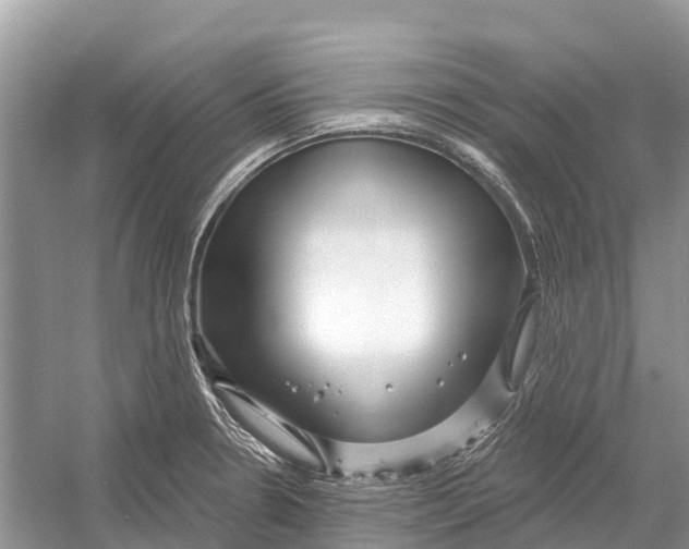 X0000052941330200508050845