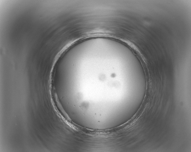 X0000052941333200508050845