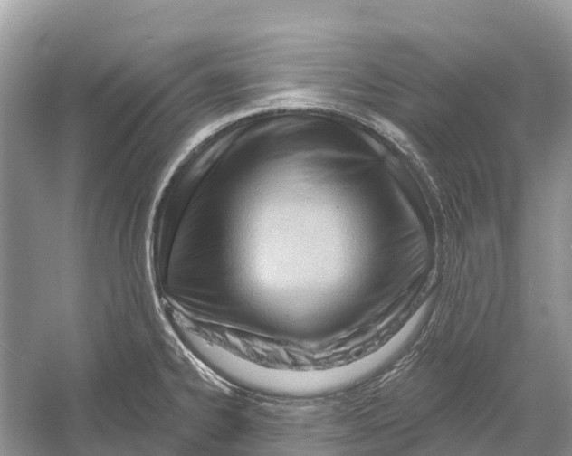 X0000052941334200508050845