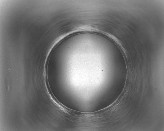 X0000052941335200508050845