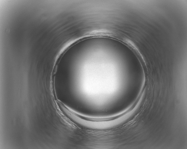 X0000052941336200508050846