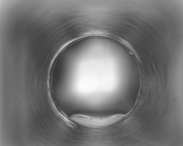 X0000052941339200508050846