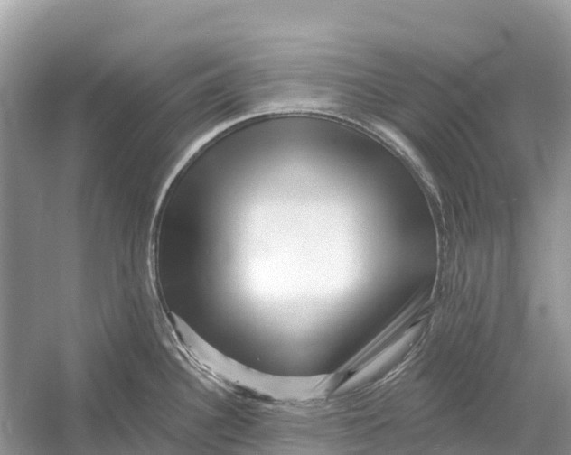 X0000052941340200508050846