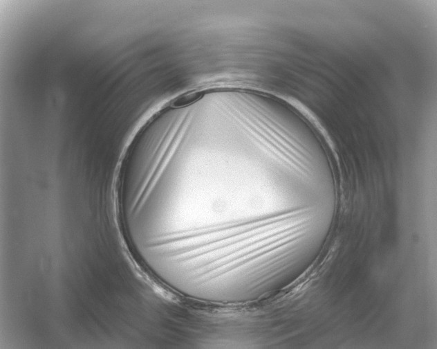 X0000052941341200508050846