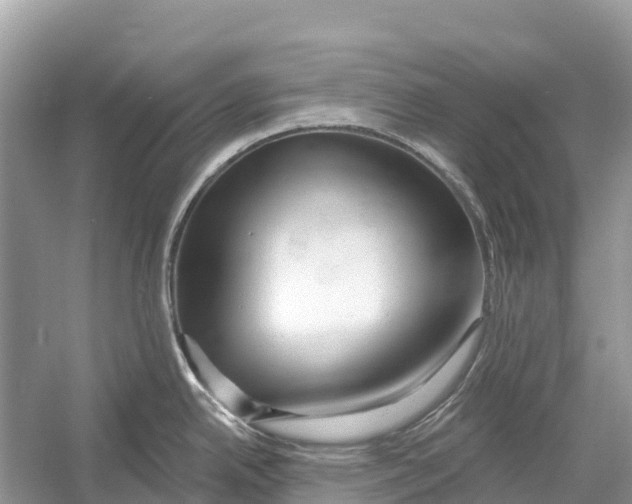 X0000052941342200508050846