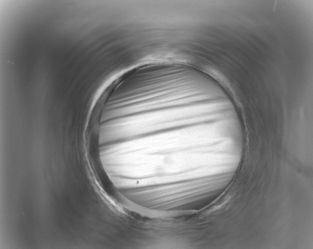 X0000052941344200508050846