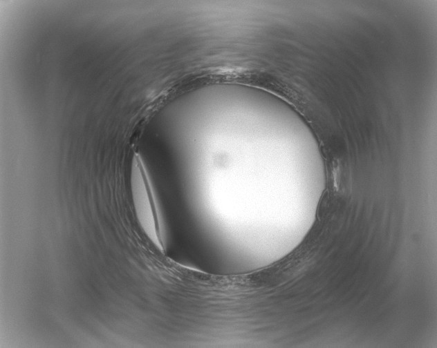 X0000052941347200508050845