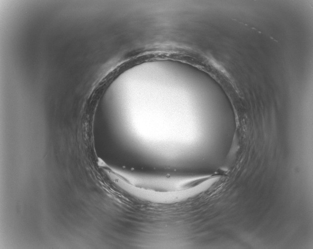 X0000052941352200508050845