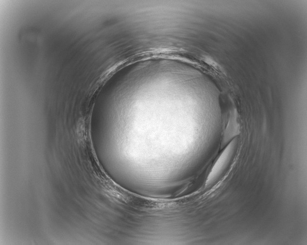 X0000052941353200508050845