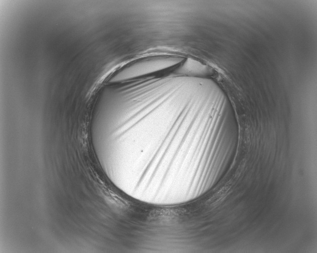 X0000052941355200508050845