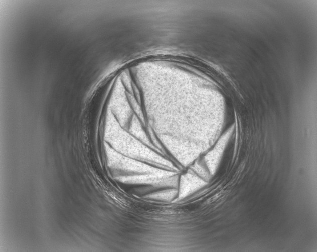 X0000052941359200508050845