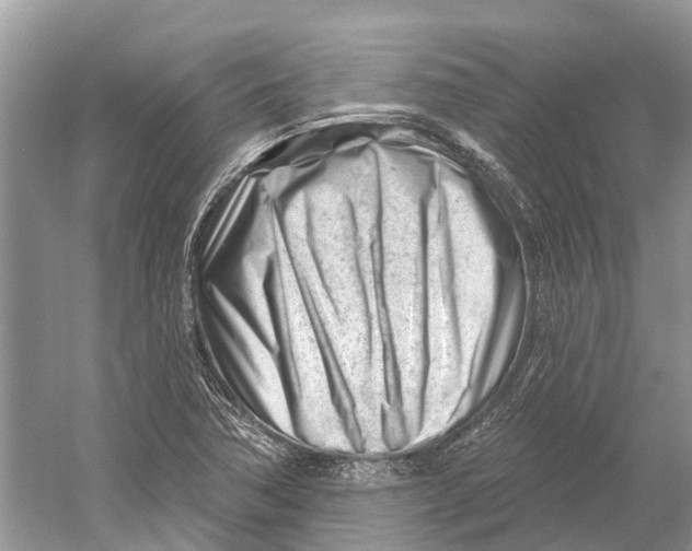 X0000052941362200508050845