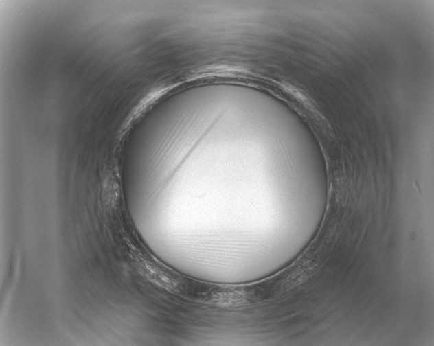 X0000052941363200508050845