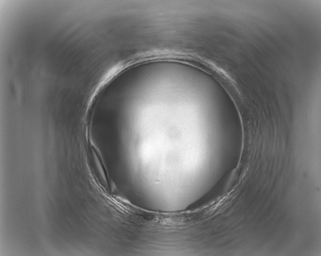 X0000052941365200508050844