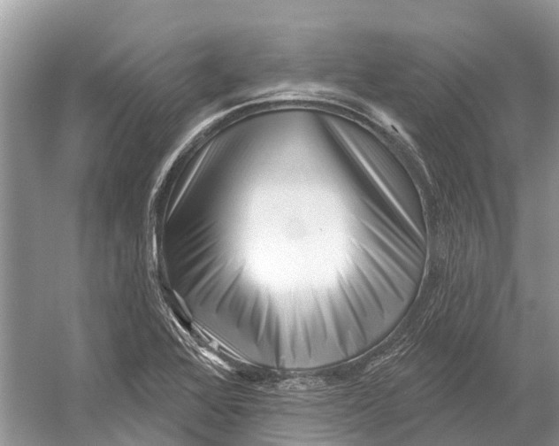 X0000052941368200508050844