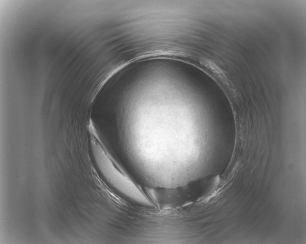 X0000052941369200508050844