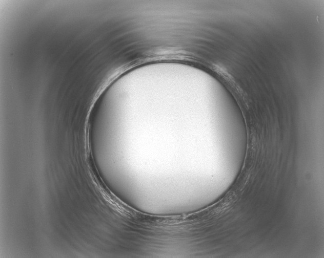 X0000052941370200508050844