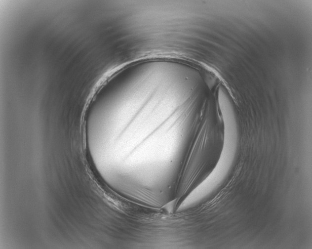 X0000052941371200508050844