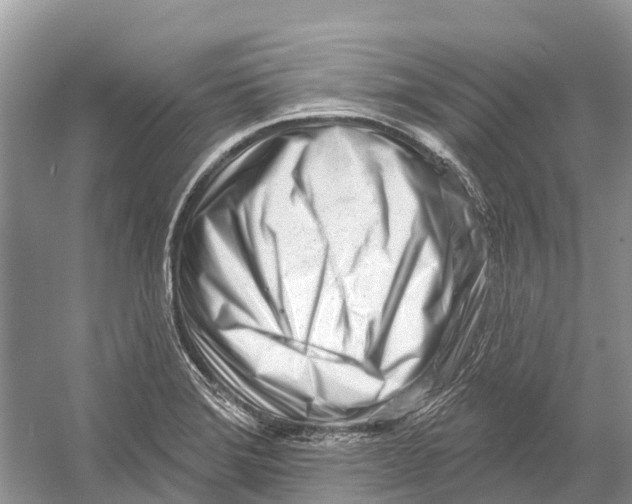 X0000052941372200508050844