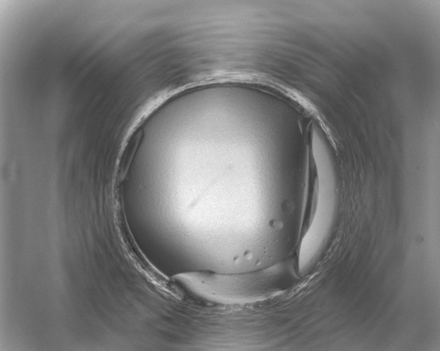 X0000052941373200508050844