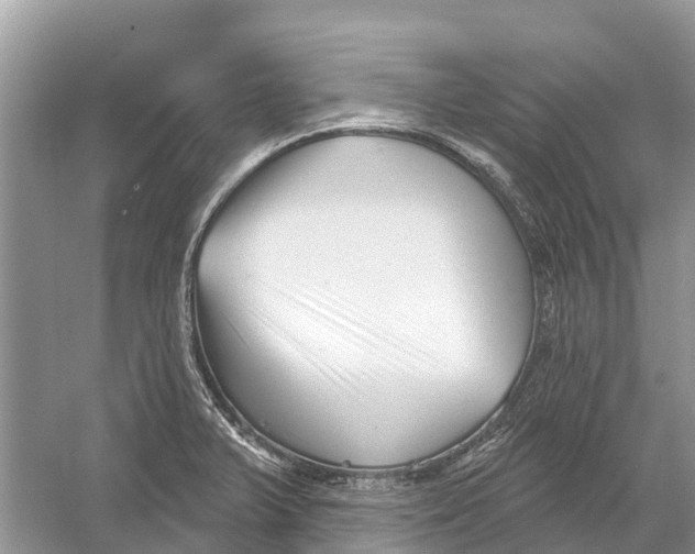 X0000052941375200508050844