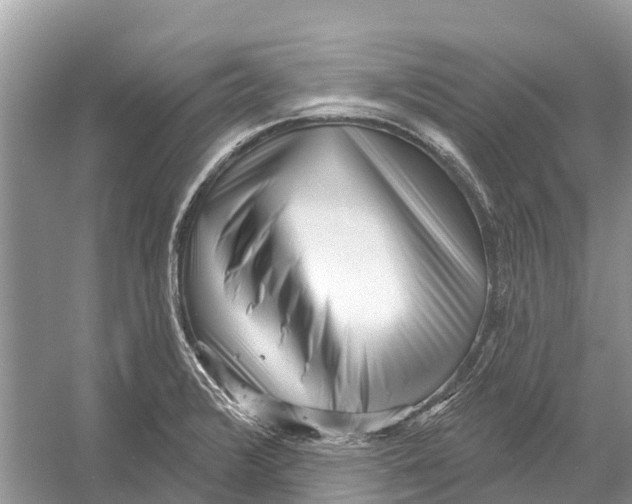 X0000052941376200508050844