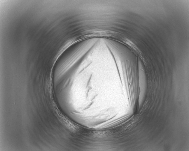 X0000052941378200508050844