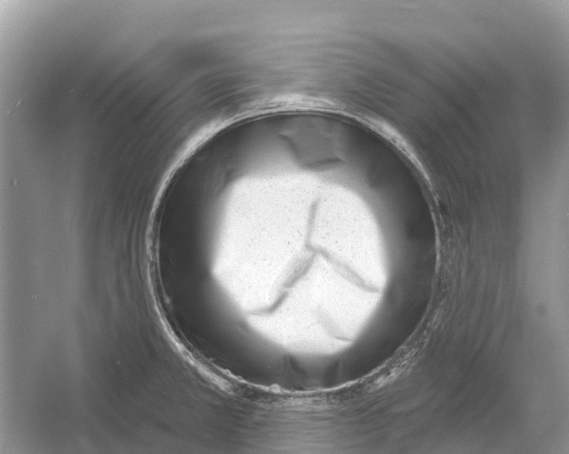 X0000052941381200508050844