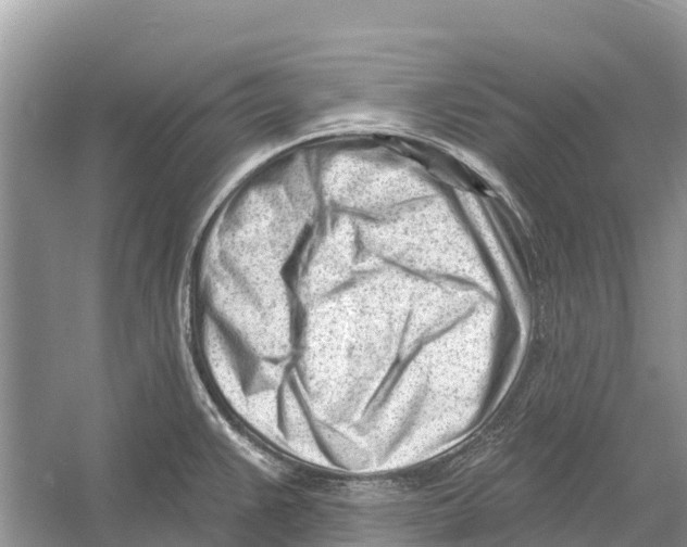 X0000052941383200508050844