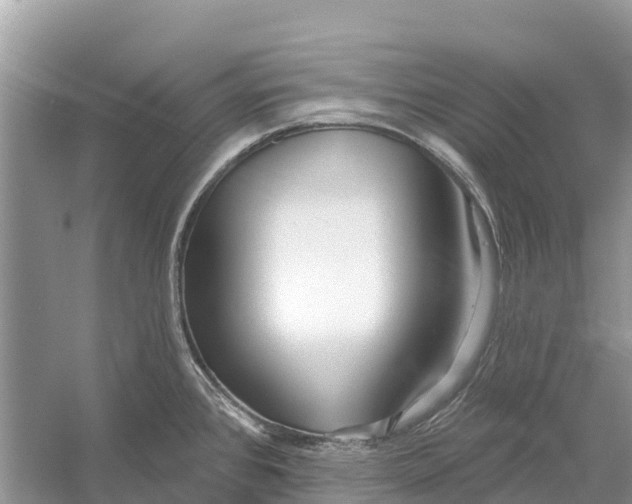 X0000052941384200508050844