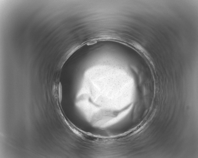 X0000052941385200508050844