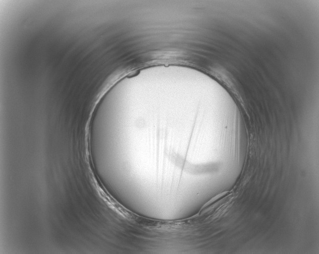 X0000052941386200508050844