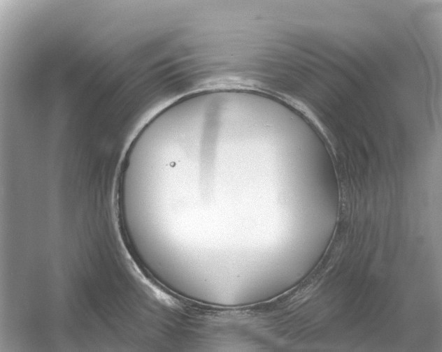 X0000052941387200508050844