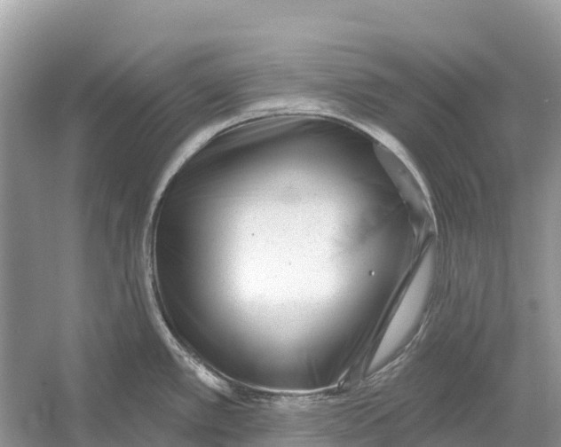 X0000052941389200508050844