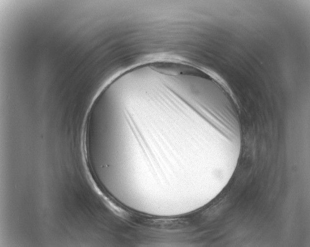 X0000052941391200508050844