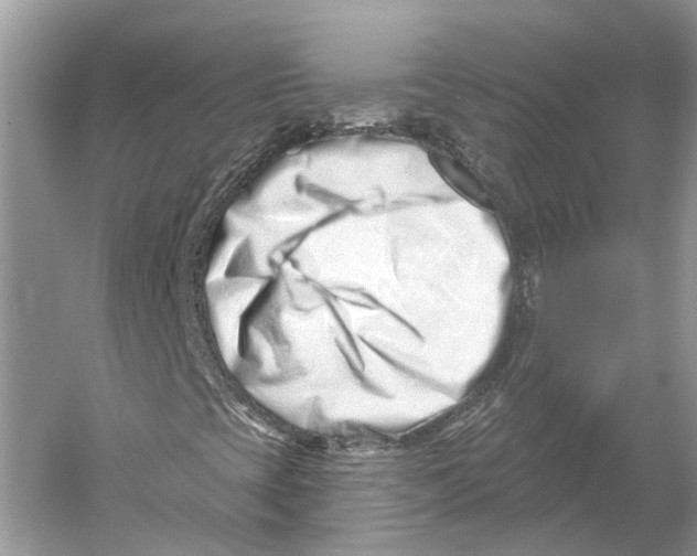 X0000052941393200508050843