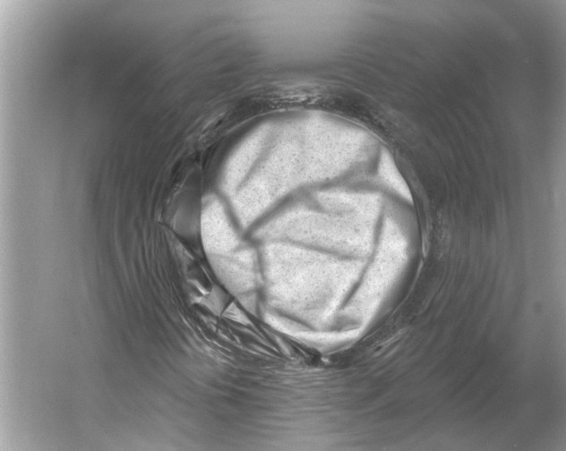 X0000052941394200508050843