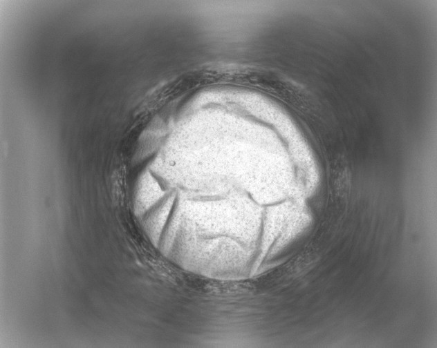 X0000052941397200508050843